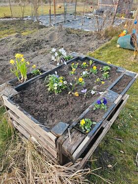 Foto - Grundst&uuml;ck in Rostock