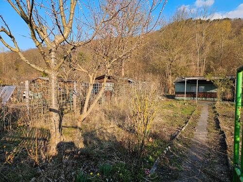 Foto - Grundst&uuml;ck in Jena zur Miete