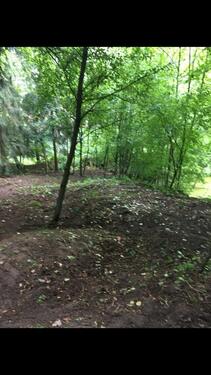 Foto - Grundst&uuml;ck in Groß-Umstadt zur Miete