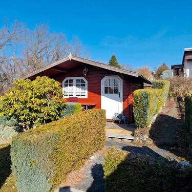 Foto - Pachtgarten abzugeben in Dölau 'Am Butterberg'e.V.