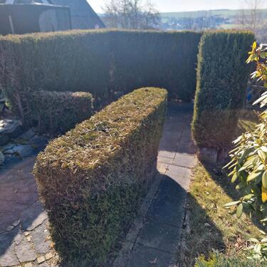 Foto - Grundst&uuml;ck in Greiz