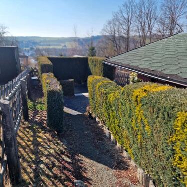 Foto - Grundst&uuml;ck in Greiz zur Miete