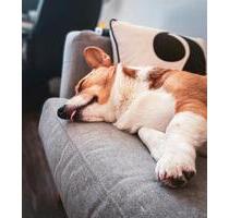 Bauen mit Vertrauen: Die Zukunft für Ihre Familie - Bad Lippspringe