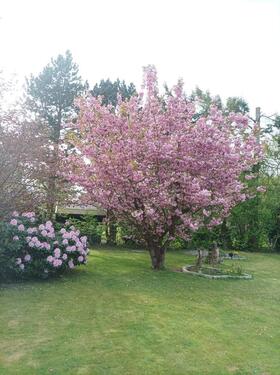 Foto - Frisch renovierte Dachgeschoßwohnung mit Fußbodenheizung & Balkon