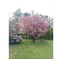 Frisch renovierte Dachgeschoßwohnung mit Fußbodenheizung & Balkon - Uetersen