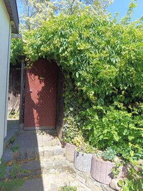 Foto - Einfamilienhaus in Möckern zum Kaufen