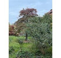 2 Raum Wohnung mit eigenem Garten - Erfurt Andreasvorstadt