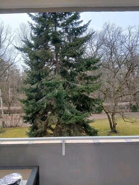 Foto - 3-Zimmer Wohnung mit Balkon & Einbauküche in Nürnberg-Gartenstadt