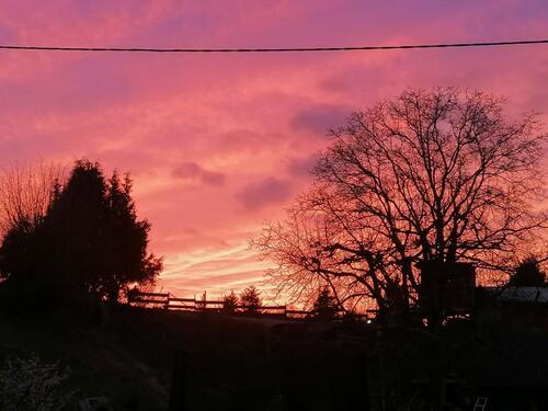 Foto - andere zur Miete in Leiwen