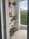 Foto - Etagenwohnung zur Miete in Köln