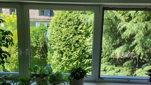 Foto - Ruhige 2-Zimmer-Wohnung Nürnberg Schniegling Stadtgrenze Fürth