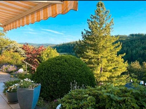 Foto - TOP Ferienwohnung b. Winterberg,Urlaub,Sommerferien,last Minute