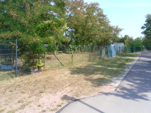Foto - andere zur Miete in Calbe (Saale)