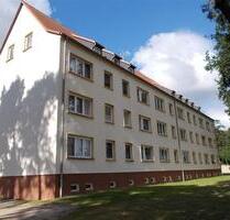 4-Raum-Wohnung in naturnaher ruhiger Lage von Elsnig - ideal für Familien mit Kindern! - Dommitzsch