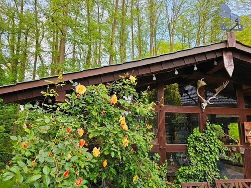 Foto - 3 Zimmer Erdgeschoßwohnung zur Miete in Wietzen