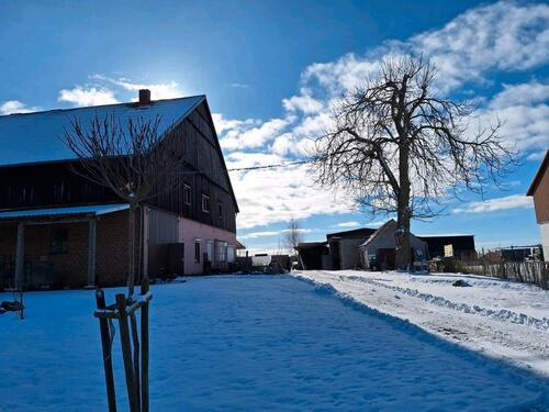 Foto - Bauernhaus, Landhaus in Malchin zum Kaufen
