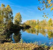 Erster Monat kostenlos! Noch ein Seegrundstück zu verpachten – Ihre Naturoase wartet nur 1,5 Stunden von Berlin - Jessen (Elster)