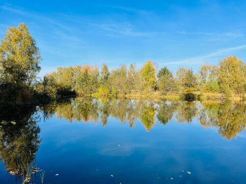 Foto - Grundstück zur Miete in Jessen (Elster)