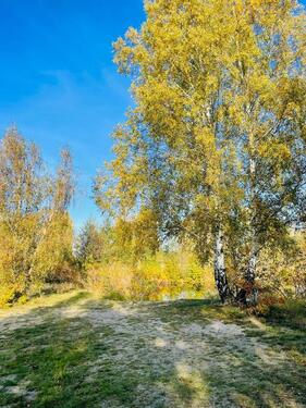 Foto - Grundstück in Jessen (Elster)