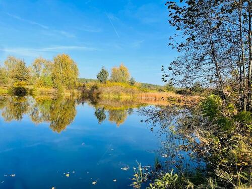 Foto - Grundstück in Jessen (Elster) zur Miete