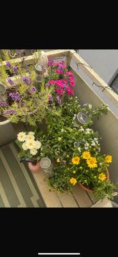 Foto - Wohnung Pempelfort für 1(!) Person !