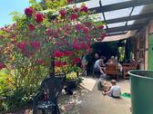 Foto - 5 Zimmer Hochparterre zur Miete in Delligsen