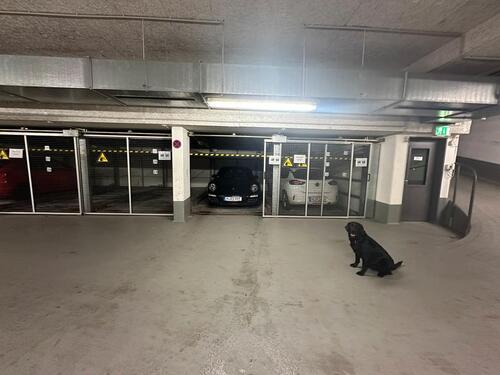 Foto - Tiefgaragen Stellplatz Erzgießereistr.