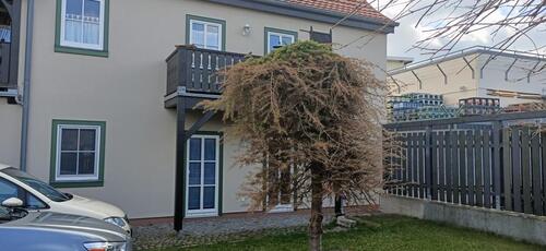 Foto - 2 Zimmer Erdgeschoßwohnung zur Miete in Bad Langensalza