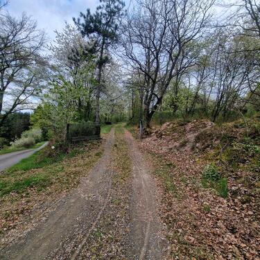 Foto - 2 Zimmer Einfamilienhaus in Winnweiler