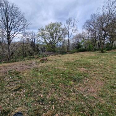 Foto - Einfamilienhaus in Winnweiler zum Kaufen