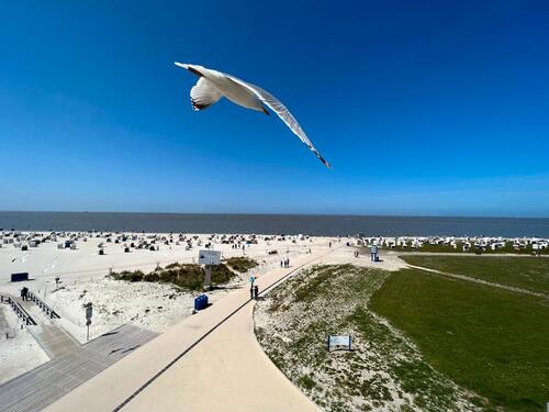 Foto - andere in Norden