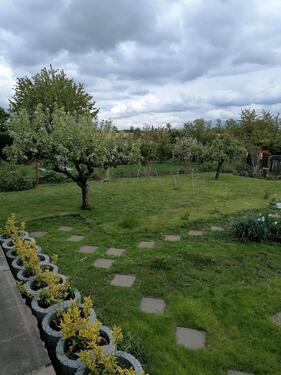 Foto - Grundst&uuml;ck zur Miete in Schkeuditz