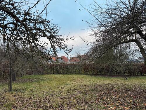 Foto - Grundst&uuml;ck zur Miete in Warburg