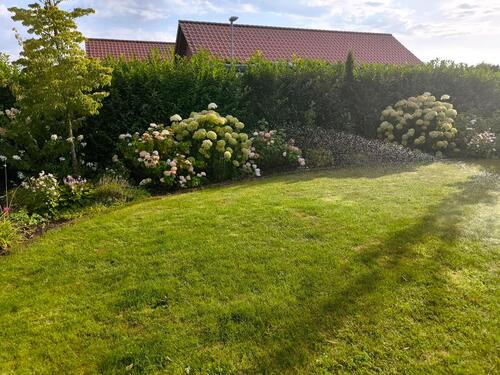 Foto - * Provisionsfrei* Neuwertiger Energieeffizienter Bungalow