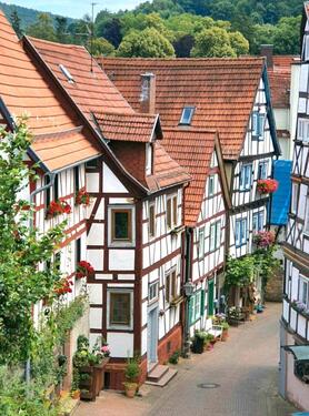 Foto - Bad Orb Haus 6-8Zimmer 120+15qm sofort frei