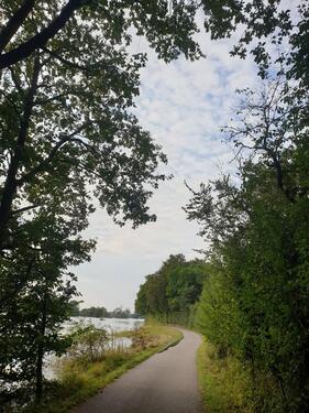 Foto - Übernachtung Einzelzimmer Elberadweg Städtetour