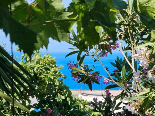 Foto - Einfamilienhaus zum Kaufen in Gaimersheim
