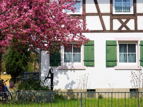 Foto - Charmante Ferienwohnung Lahr Schwarzwald Region Europapark