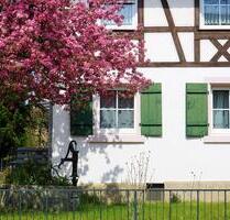 Charmante Ferienwohnung Lahr Schwarzwald Region Europapark - Lahr (Schwarzwald)