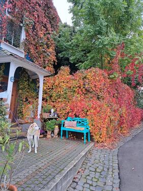 Foto - Einfamilienhaus in Schwalmtal