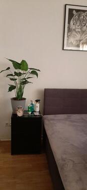 Foto - 1 Zimmer Etagenwohnung in Radebeul