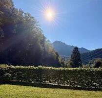 Exklusive Erdgeschosswohnung mit Traum-Bergblick & See-Nähe - Kochel am See