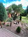 Foto - Etagenwohnung zur Miete in Frankenblick