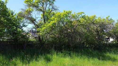 Foto - 6 Zimmer Einfamilienhaus in Werra-Suhl-Tal