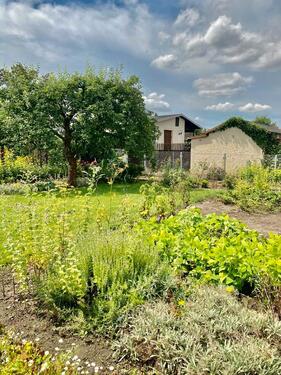 Foto - Grundst&uuml;ck in Delitzsch zur Miete