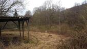 Foto - GARTENGRUNDSTÜCK AM WALD IN SCHWALENBERG ZU VERPACHTEN