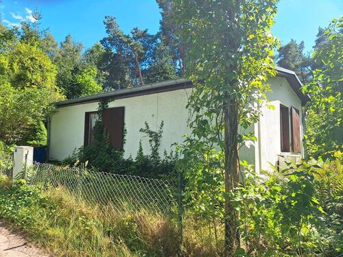 Foto - Plötzky Bungalow Grüner Waldsee