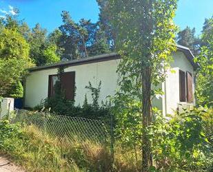 Plötzky Bungalow Grüner Waldsee - Gommern