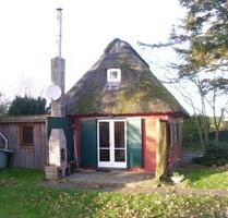 Kleines Reetdachhaus direkt am Meer in Kalifornien bei Schönberg - Laboe