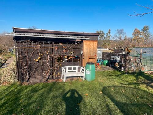 Foto - Grundst&uuml;ck zur Miete in Pirna